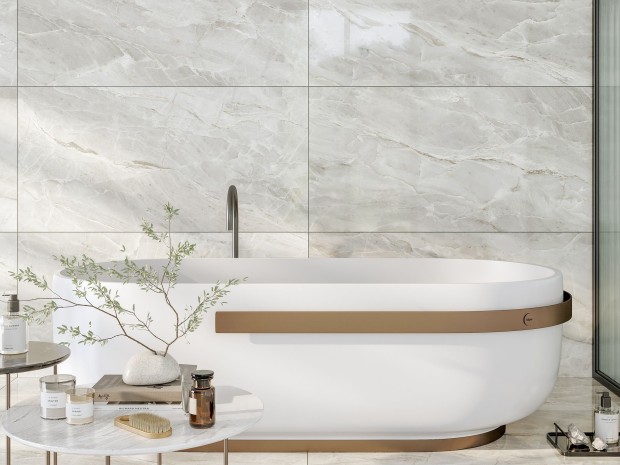 Коллекция плитки Silver Roots